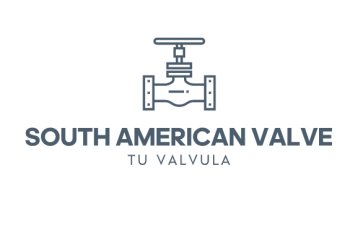 Duplex Globe Valve Supplier in Mexico- South American valve