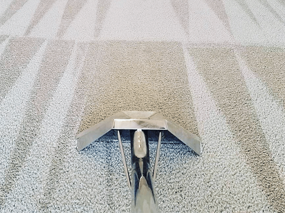 Carpet Cleaning Great Gaddesden HP1 | 20 000+ Positive Reviews
