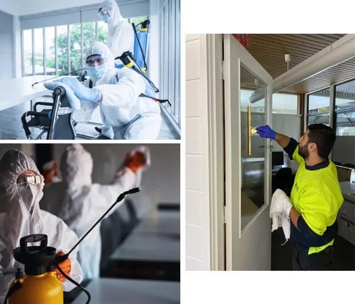 Know the exclusive factors of hiring a skilled mould specialist