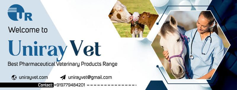Top 10 Veterinary Companies In India