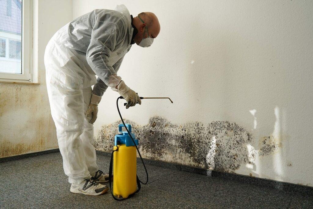Preserve a healthy living environment with mould inspection