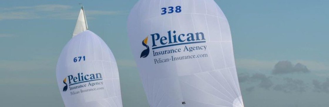 Pelican Insurance Cover Image