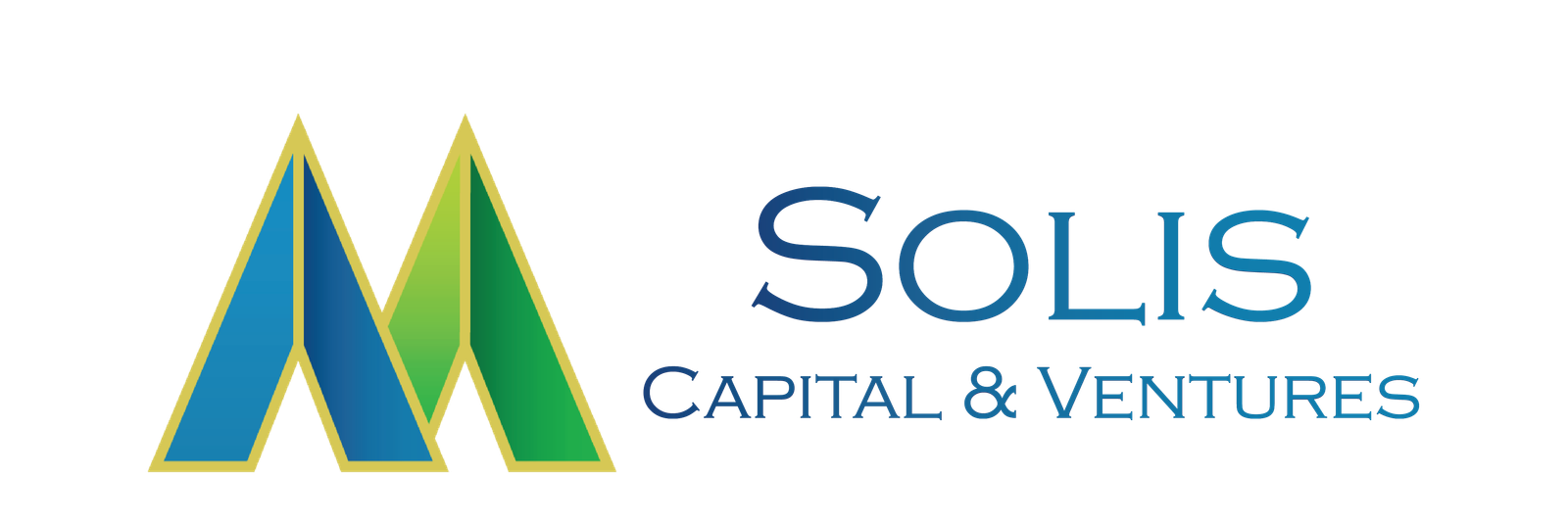 Solis Capital and Ventures | Venture Capital Firm in Gurgaon