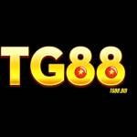 TG88 Profile Picture