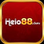 helo88 guru Profile Picture