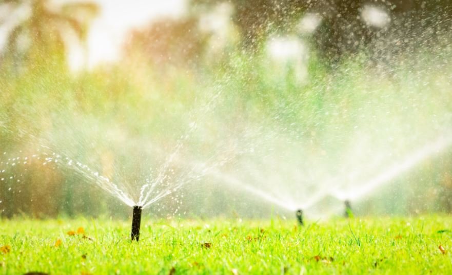 Water Management Methods & Techniques for Sustainable Farming