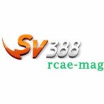 SV388 Profile Picture