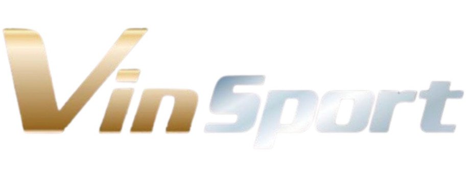 vinsport blog Cover Image