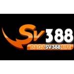 dagasv388life Profile Picture