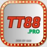 TT88 pro Profile Picture