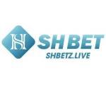 Shbet zlive Profile Picture