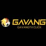 GaVangTV Click profile picture