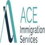 Ace immigration services Profile Picture