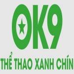 Lê Thành Công CEO OK9 Profile Picture