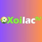Xoilactviicc domain đã qua sử dụng Profile Picture