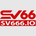 SV66 Profile Picture