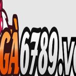 GA6789 Profile Picture
