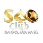 SaoClub Wiki Profile Picture