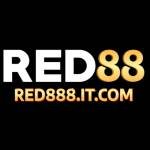 red888it com1 Profile Picture