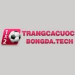 Trang cá cược bóng đá Profile Picture