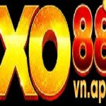 XO88 Profile Picture