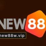 Nhà Đài New88 Profile Picture
