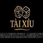 Gametaixiu agency Profile Picture