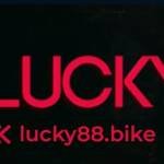 Nha Cái Lucky88 Profile Picture