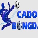 Cá Cược Bóng Đá Profile Picture