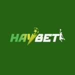 Nhà Cái HayBet Profile Picture