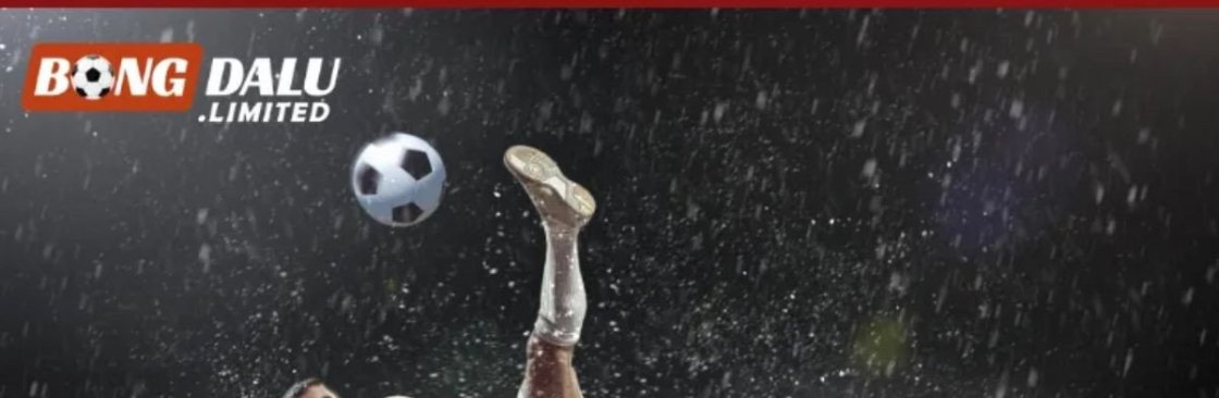 Bongdalu systems Cover Image
