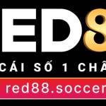 Red88 Soccer Profile Picture