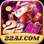 22aj 22aj Profile Picture
