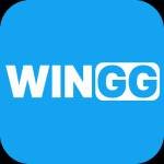 wingg wingg Profile Picture