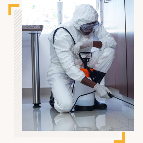 Fumigation Services Experts – Certified Trusted Since 2010